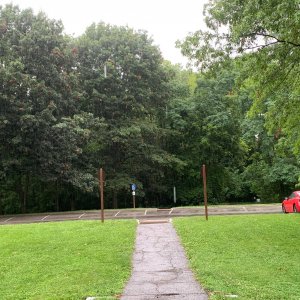 Battelle Darby Creek - Trees in far parking lot 2.jpeg
