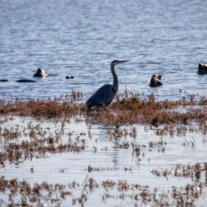 IMG_5966.jpg