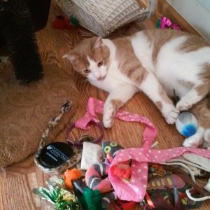 Sinclair among his toys.jpg