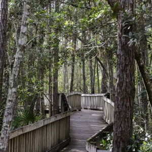 Tibet Butler - 2500px-9.JPG