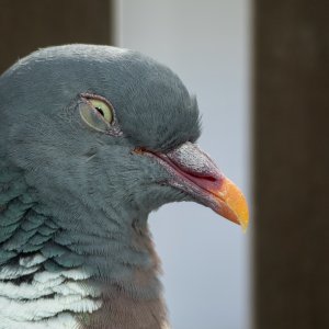 2018-07-31 18.11.28.jpeg