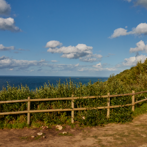 Screen Shot 2021-07-16 at 11.42.56.png