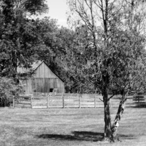 Hale Farms - 038 finished resize.jpg