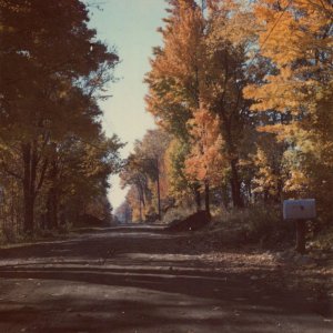 Fall Road.jpeg