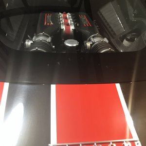 IMG_1409.jpeg