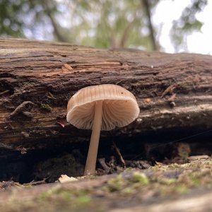 IMG_1084.JPG