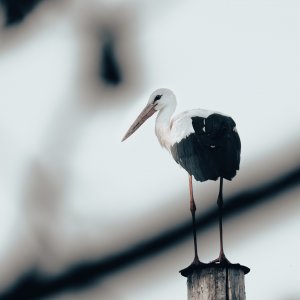 223D5E2C-29F4-4CCF-BD47-1AE4016BA226.jpeg