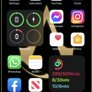 FAA8B9FC-0EF4-4053-9474-EA6B74848BB2.png