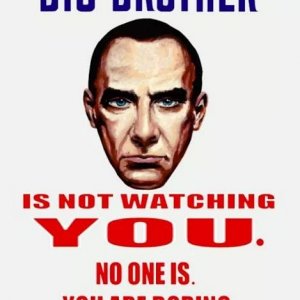 big brother is not watching you.jpg