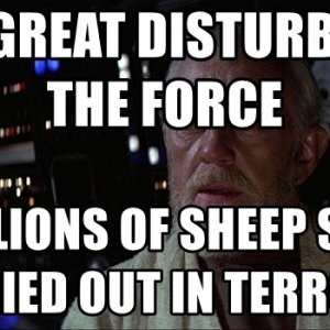 i-felt-a-great-disturbance-in-the-force-as-if-millions-of-sheep-suddenly-cried-out-in-terror.jpg