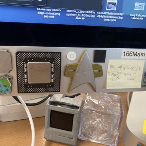 IMG_0997.jpeg
