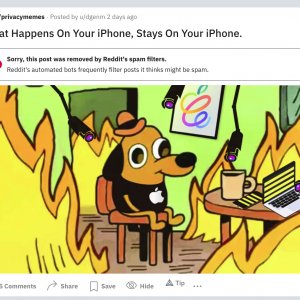 apple.jpg