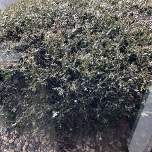 0795A36B-6AF1-446D-BD41-DEC0655CE640.jpeg