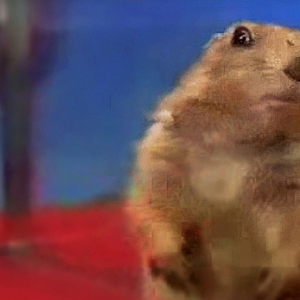 Dramatic-Chipmunk.png