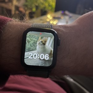 4C2C5423-3C1E-4BD1-891E-DC6535AAE9D4.jpeg