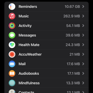 Phone 2 Storage.png