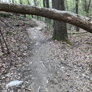 IMG_0134.jpg