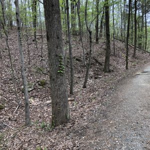 IMG_0140.jpg