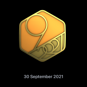 Image-1.png
