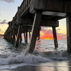 IMG_8604.jpg