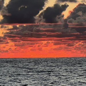 IMG_8601.jpg