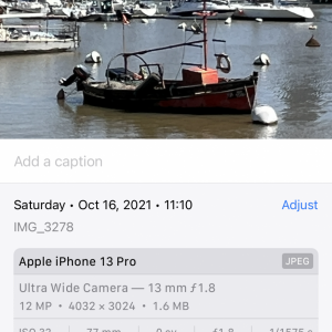 IMG_3288.PNG