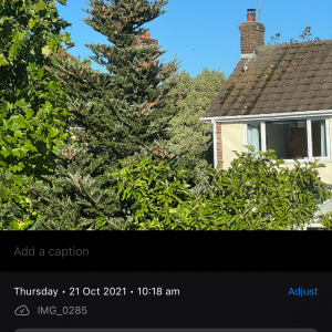 IMG_0286.png