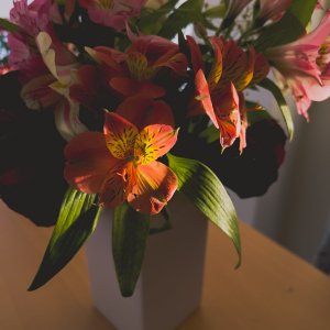 44F2182B-3696-4D08-9BC3-0235F8ACEAEB.jpeg