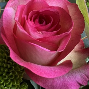 IMG_0416.jpeg