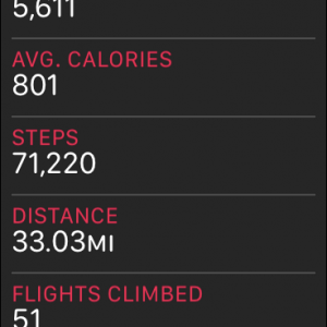 steps.PNG