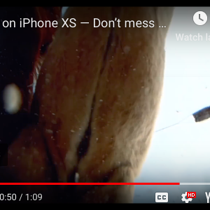 Screen Shot 2019-04-17 at 11.16.32 AM.png