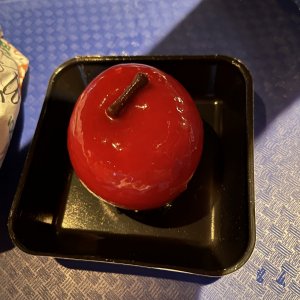 4000E73C-1426-4256-A066-5199C6E33633.jpeg