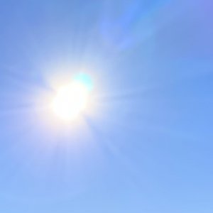 1DD17752-94B8-4B1E-ACC9-FFFEFB1F6DCB.jpeg