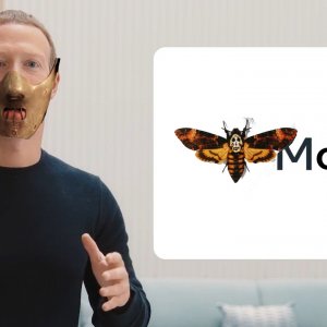 moth.jpg