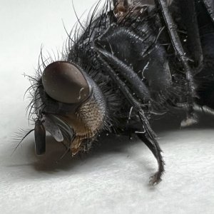 IMG_0870.jpeg