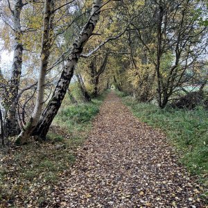 IMG_7240.jpeg