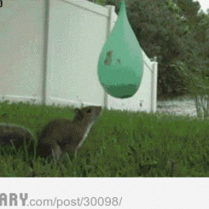 Hate+to+burst+your+bubble+but+boo+found+it+at_0365ff_4125386.gif