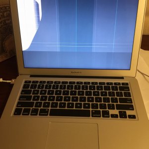 image.jpeg