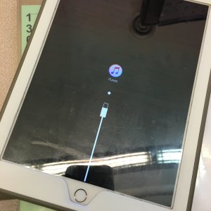 image.jpeg