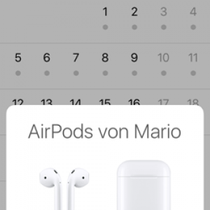 IMG_2458.PNG