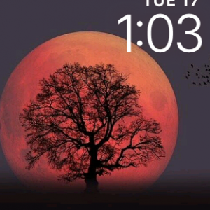IMG_1450.PNG