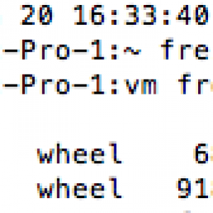Contens of private:var:vm.png