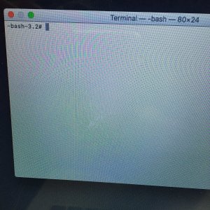 image.jpeg
