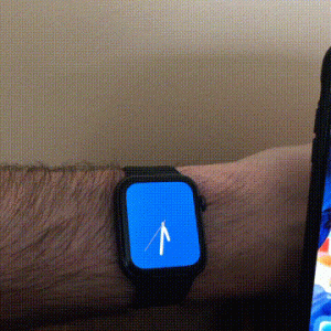 IMG_0711a.video.gif