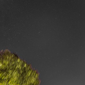 69CDE234-0C1A-4050-BCD0-FAE07079EF3F.jpeg