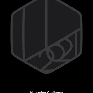 Nov2021Challenge.jpeg