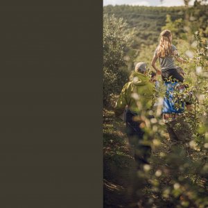 Click-Pro-Vertical-Template-DAILY-PROJECT-DOWNLOAD 2 copy.jpg