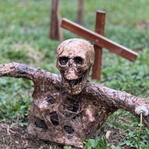 Trick or treat 1.jpeg