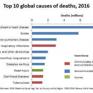 top-10-global-causes-of-deaths-2016.jpg