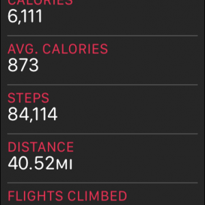 STEPS.PNG